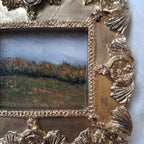 Autumn meadow